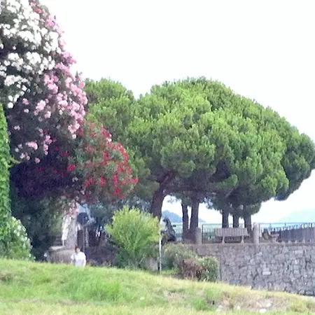 View Acquaseria